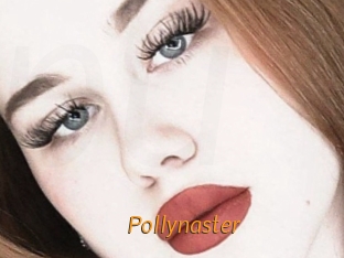 Pollynaster