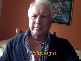 Polux91310