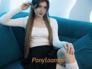 Ponytaamnel
