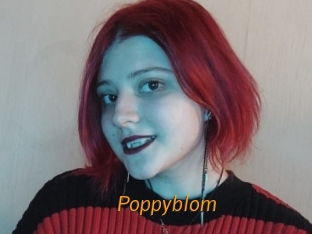 Poppyblom
