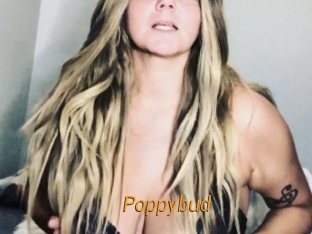 Poppybud