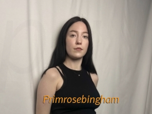 Primrosebingham