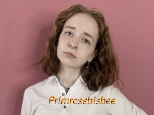 Primrosebisbee