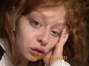 Primroseborom