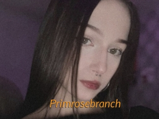 Primrosebranch