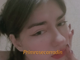 Primrosecarradin