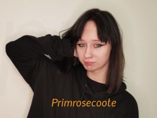 Primrosecoote