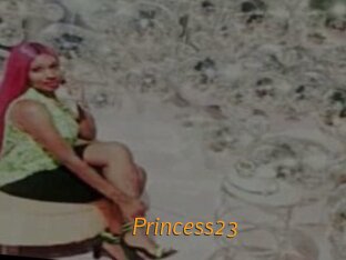 Princess23