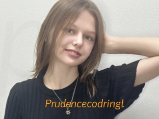 Prudencecodringt