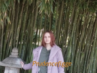 Prudencefigge