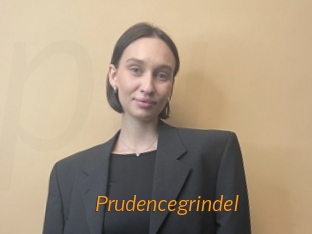 Prudencegrindel