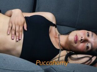 Puccahorny