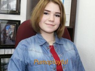 Pumaplayful