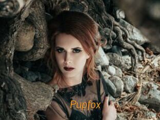 pupfox Porn University