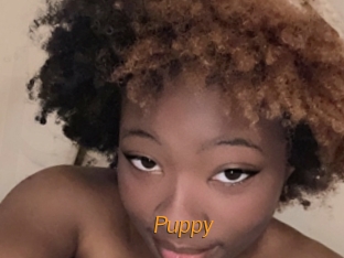 Puppy
