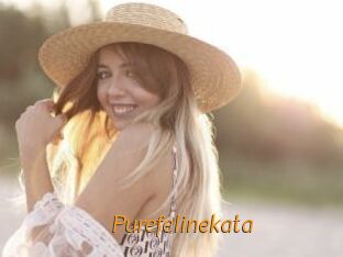 Purefelinekata