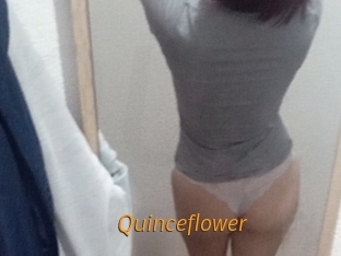 Quinceflower