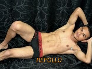 REPOLLO