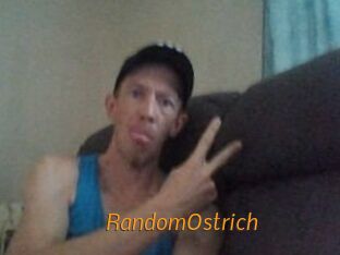 RandomOstrich