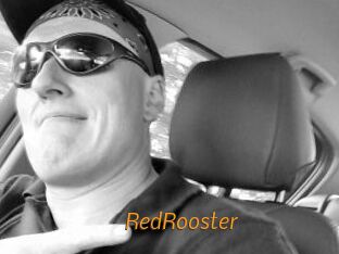 RedRooster