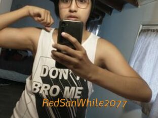 RedSanWhite2077 Porn University