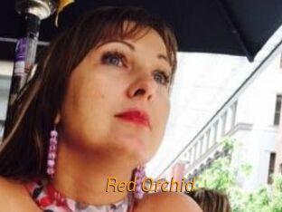 Red_Orchid