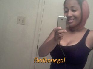 Redbonegal