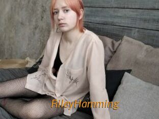 RileyHamming