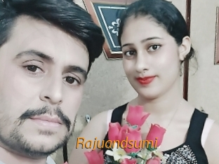 Rajuandsumi