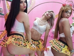 renepein Porn University