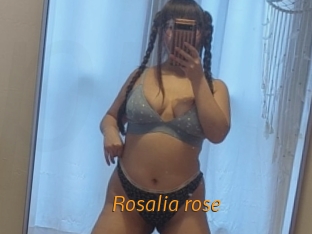 Rosalia_rose