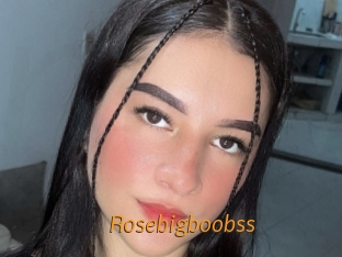 Rosebigboobss
