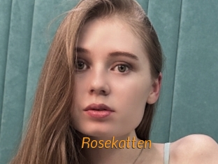 Rosekatten