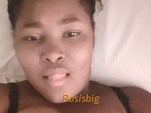 Rosisbig