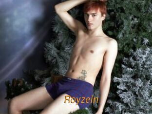 Royzein