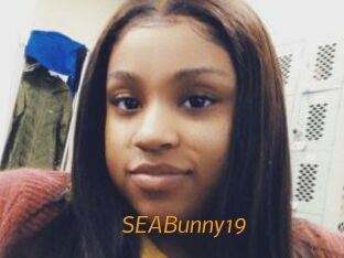 SEABunny19