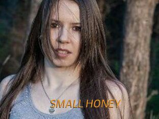 SMALL_HONEY