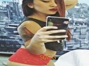 SOFI_G