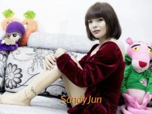 SandyJun Porn University