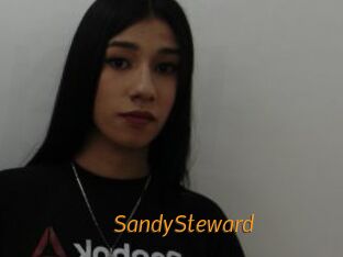 SandySteward
