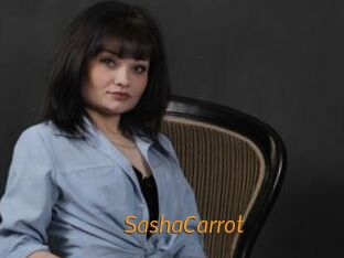 SashaCarrot Porn University