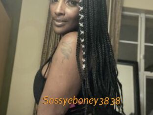 Sassyeboney3838