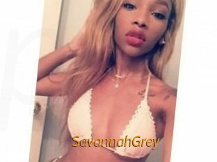 Savannah_Grey