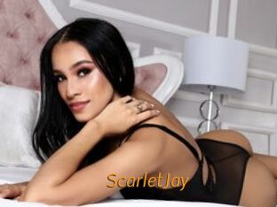 ScarletJay