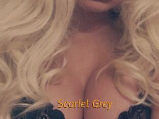 Scarlet_Grey Porn University