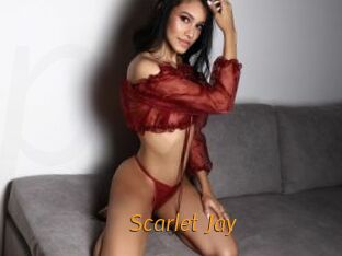 Scarlet_Jay