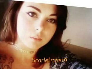 Scarletrose19
