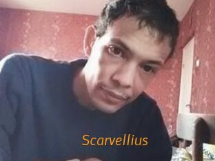 Scarvellius