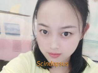 Scindapsus