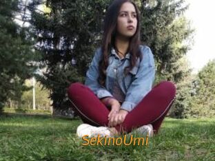 SekinoUmi